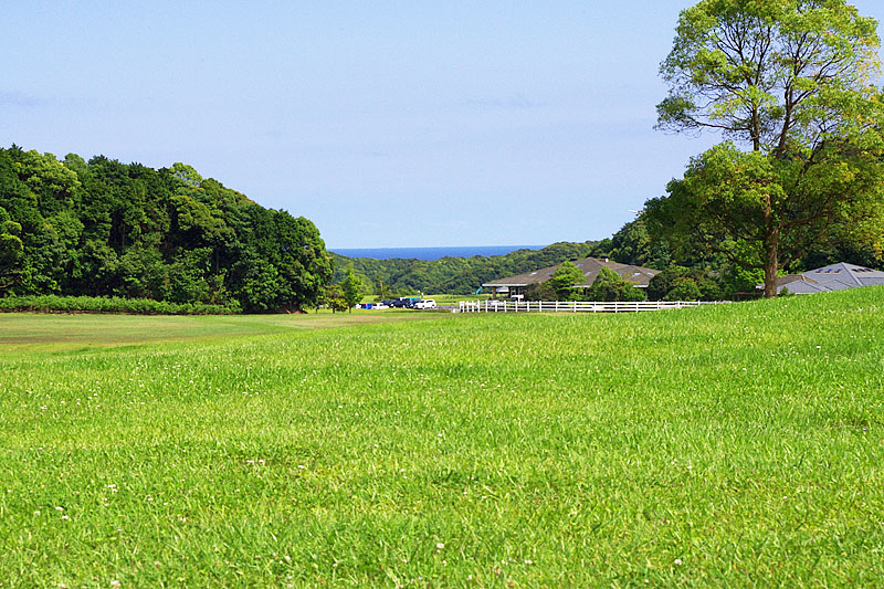 広い芝生の敷地内から見える景色