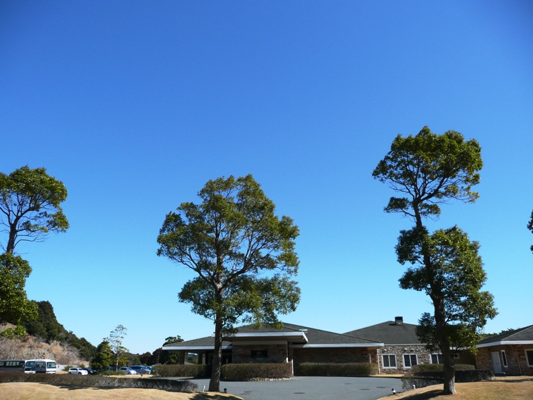 本日のブルーベリーヒル