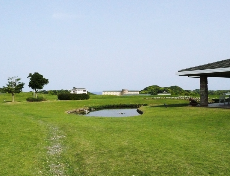 本日のブルーベリーヒル