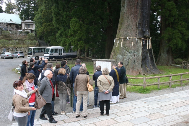 海外からのお客様