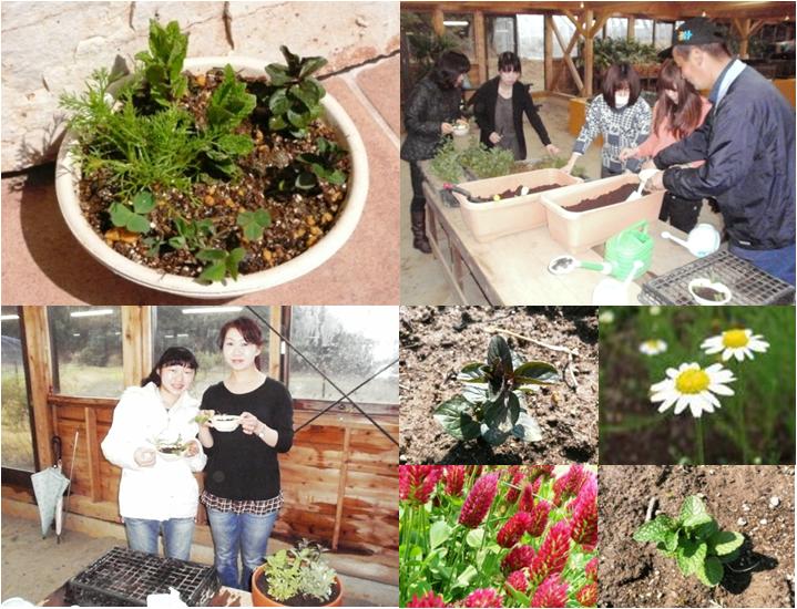 体験教室を開催しました！