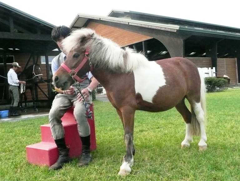 ライディングスクエア