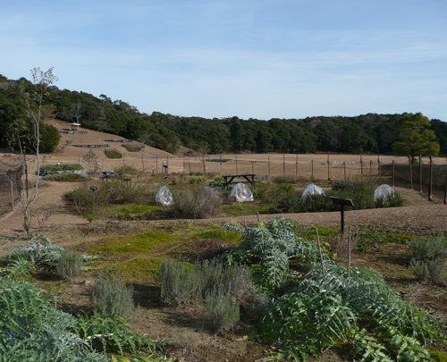 ハーブガーデン