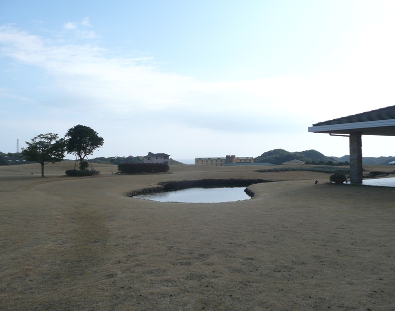 本日のブルーベリーヒル