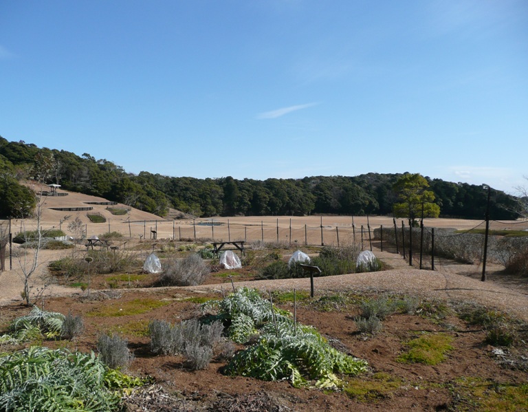 現在のハーブガーデン