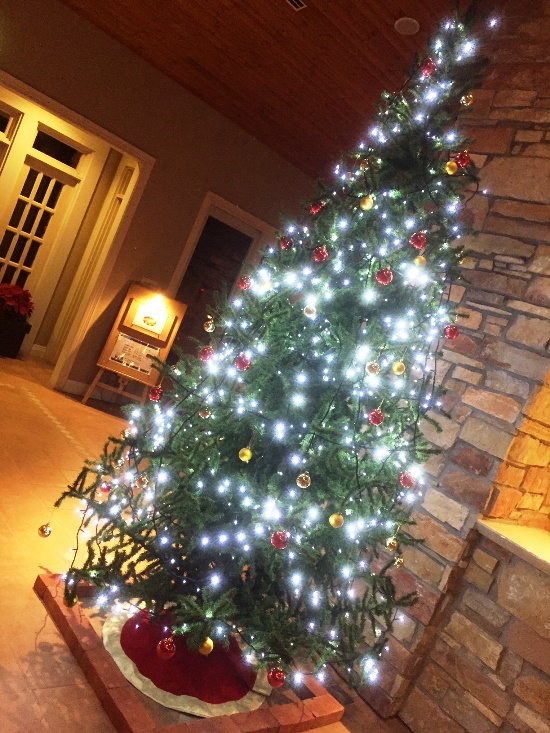「12月10日　～　ホテルロビーのクリスマスツリー　～　」