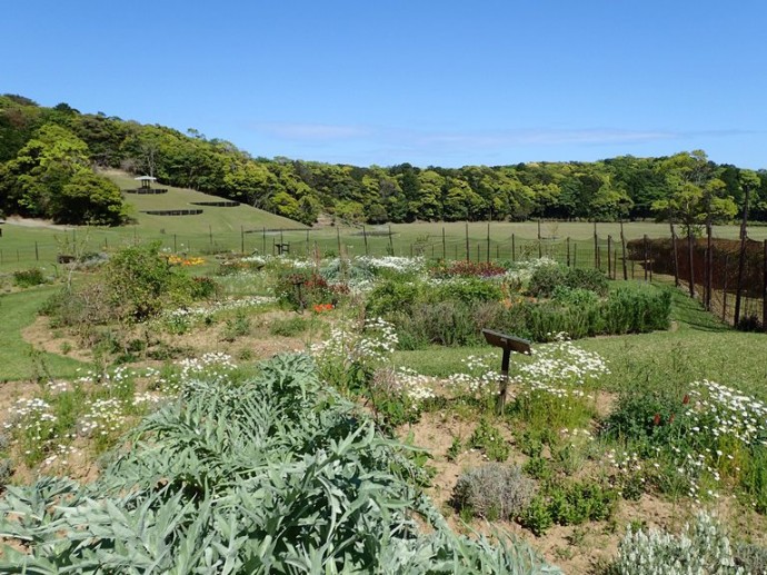 「5月1日　～　春のハーブガーデン　～　」