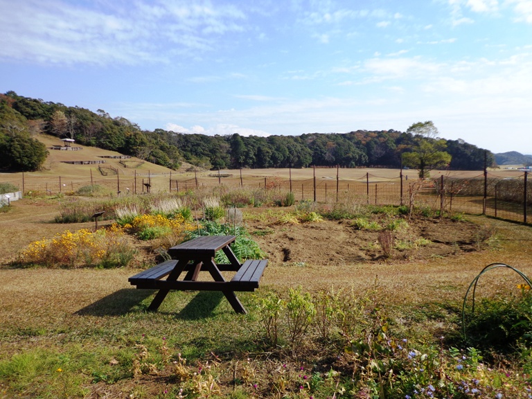 「12月7日　～　現在のハーブガーデンの様子　～　」