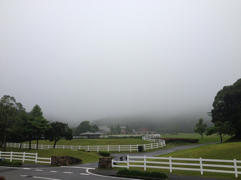 「7月5日 ~今朝の風景「ノースヒル」より