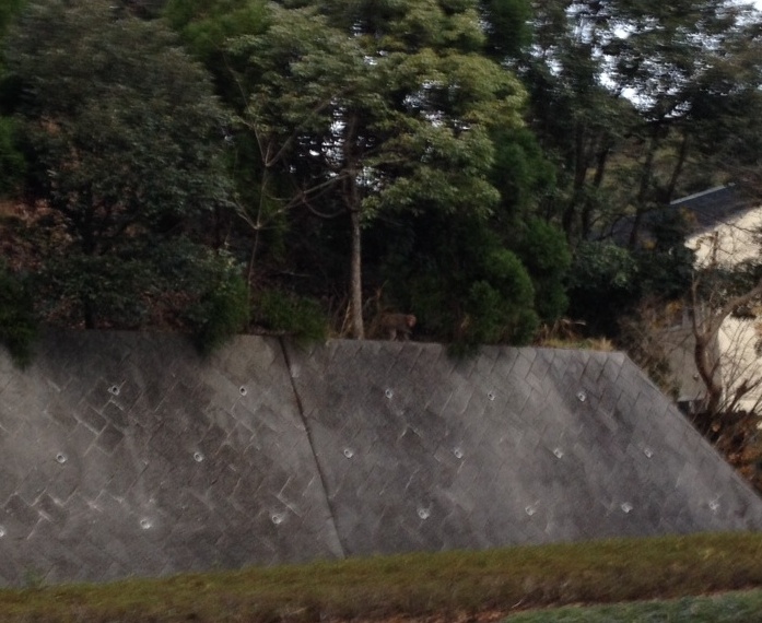 「2014年1月8日　～　センタープレイスのトンネル近くにて　～　」