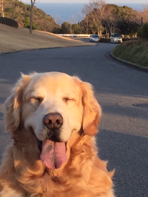 ★☆★ 弥太郎くん ★☆★ ★☆★ 弥太郎くん ★☆★