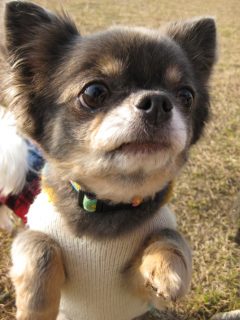 ★☆★　音ちゃん　★☆★