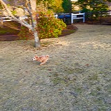 トイくん トイくん