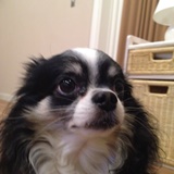 りきまるくん りきまるくん