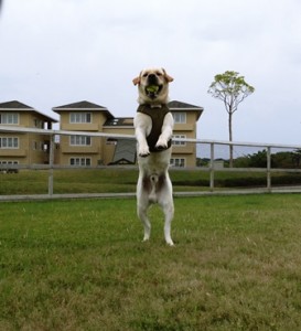 ★☆★　健斗くん　★☆★