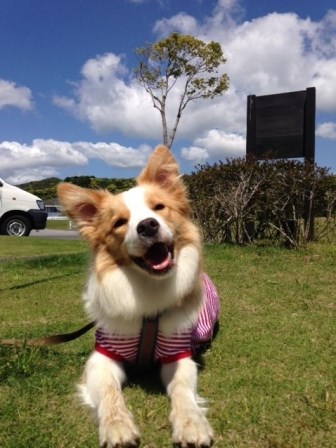 ★☆★　シェリーちゃん　★☆★