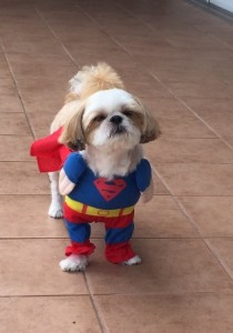 ★☆★　ヨーゼフＪＪちゃん　★☆★