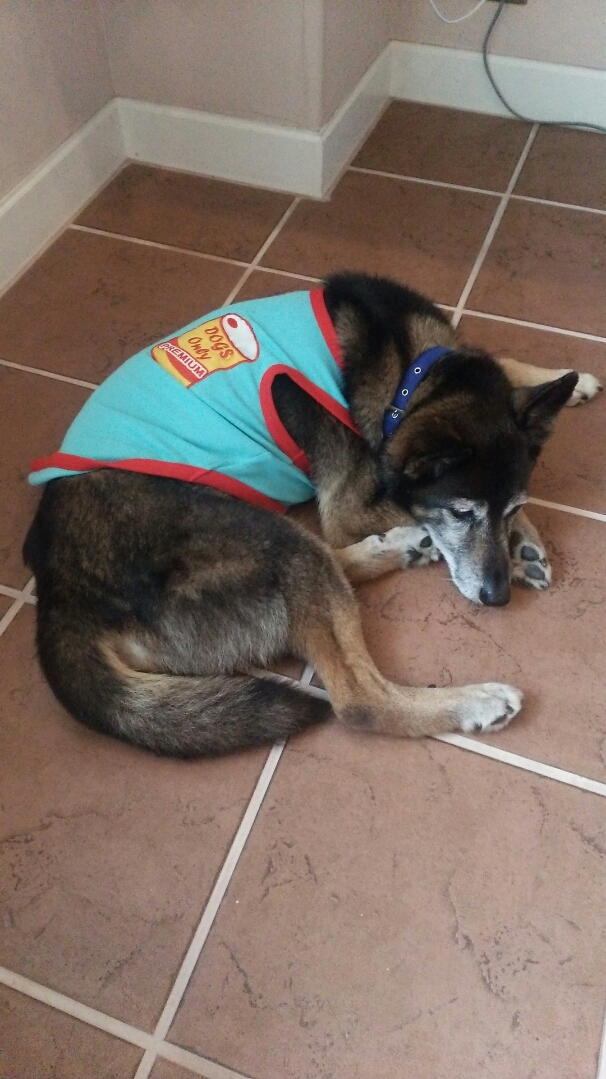 ラックくん　♂