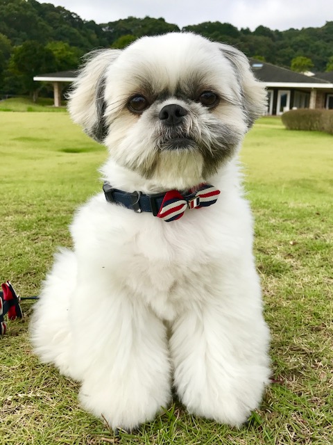 梵天丸くん 梵天丸くん