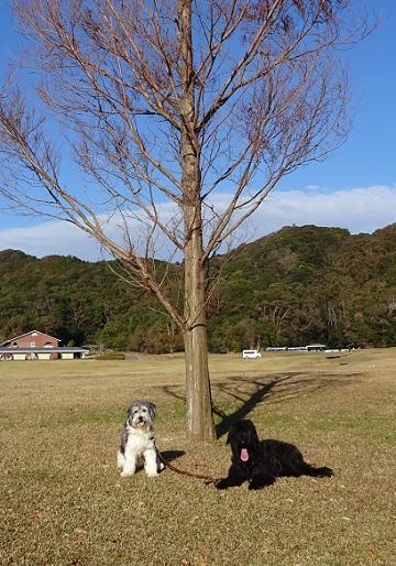 お福ちゃん＆宝ちゃん