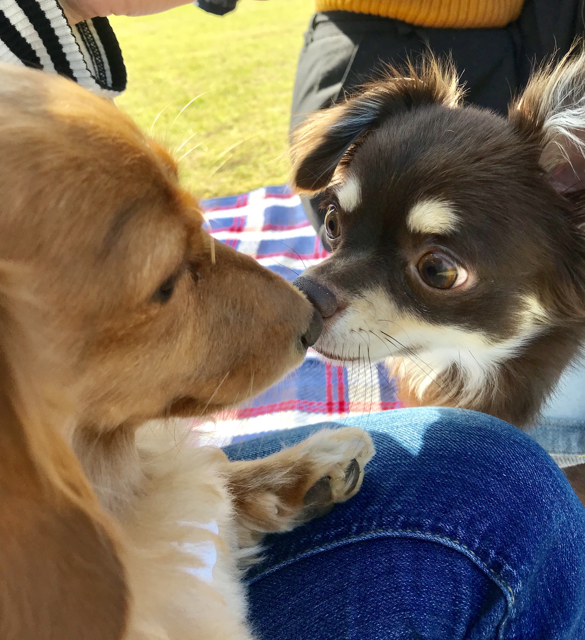 コロンちゃん＆くうくん