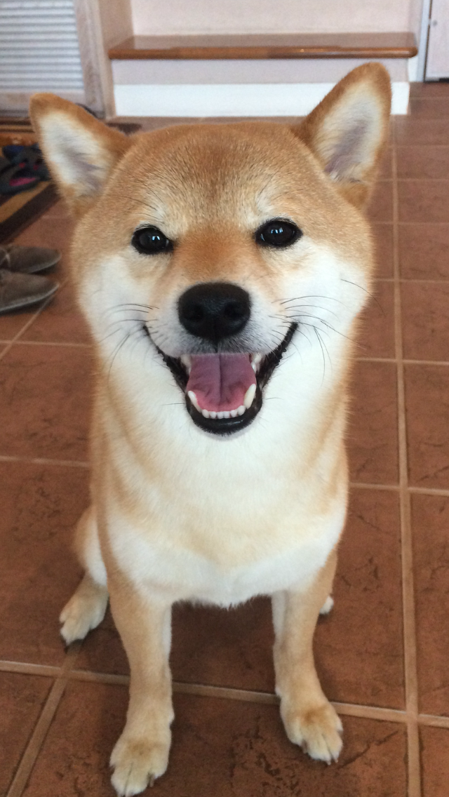 琥太郎くん　♂