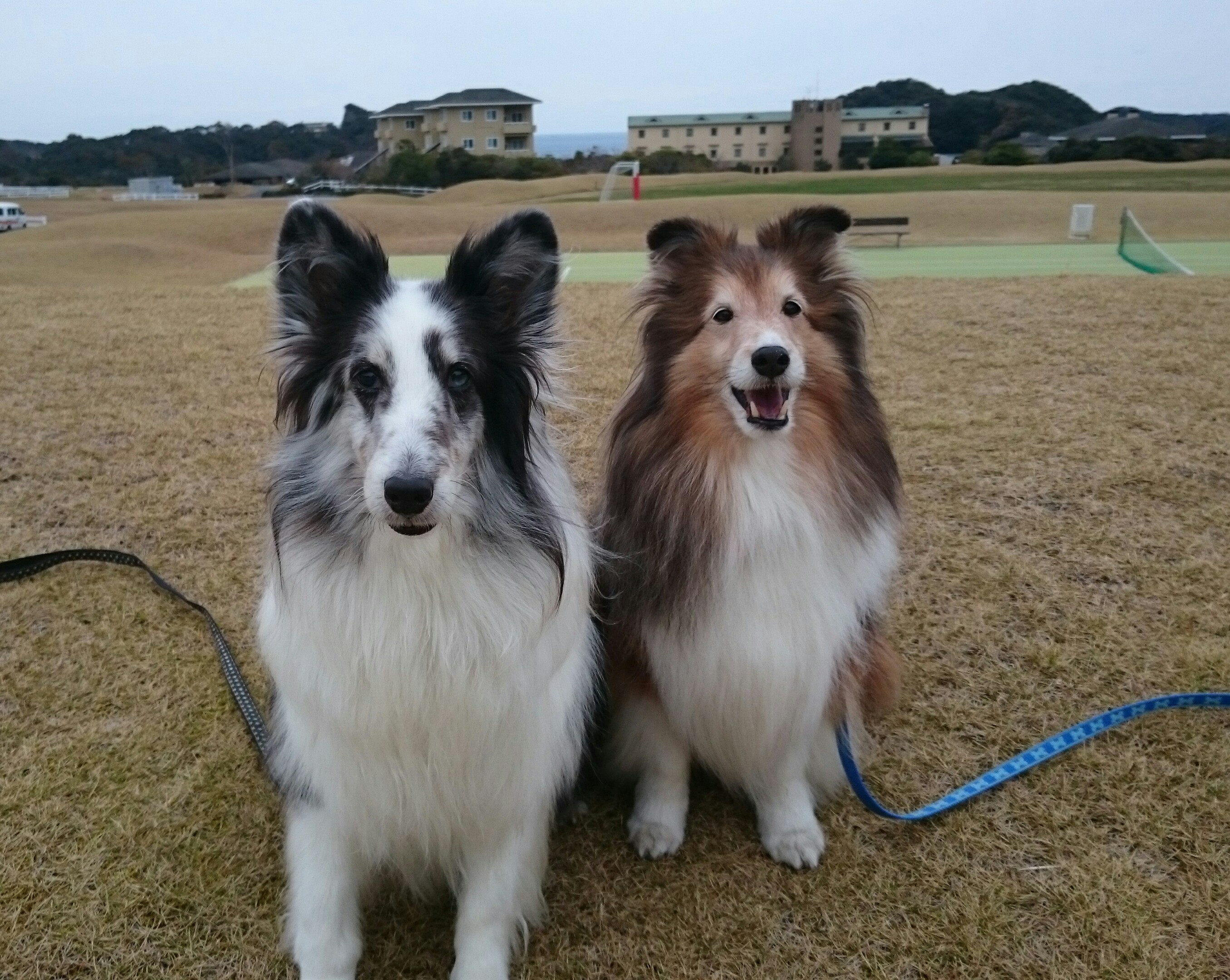 マリオくん＆チャーリーくん
