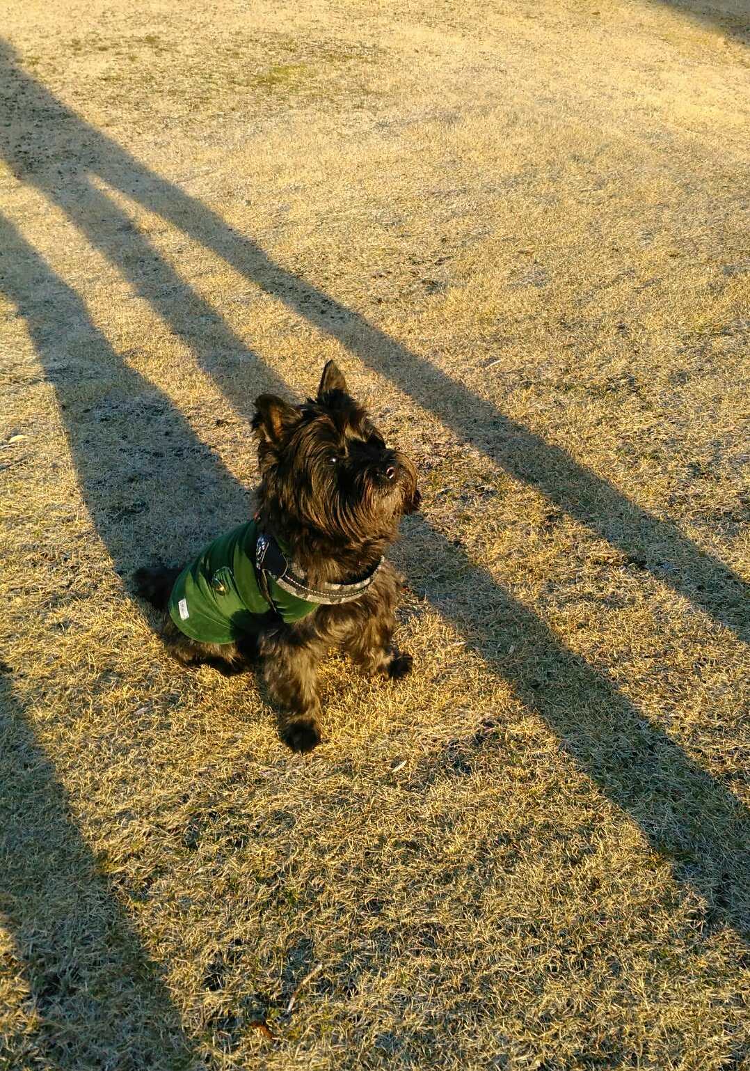 パンチョくん パンチョくん