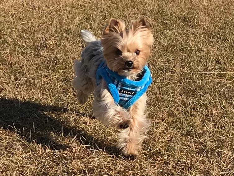 銀汰くん 銀汰くん