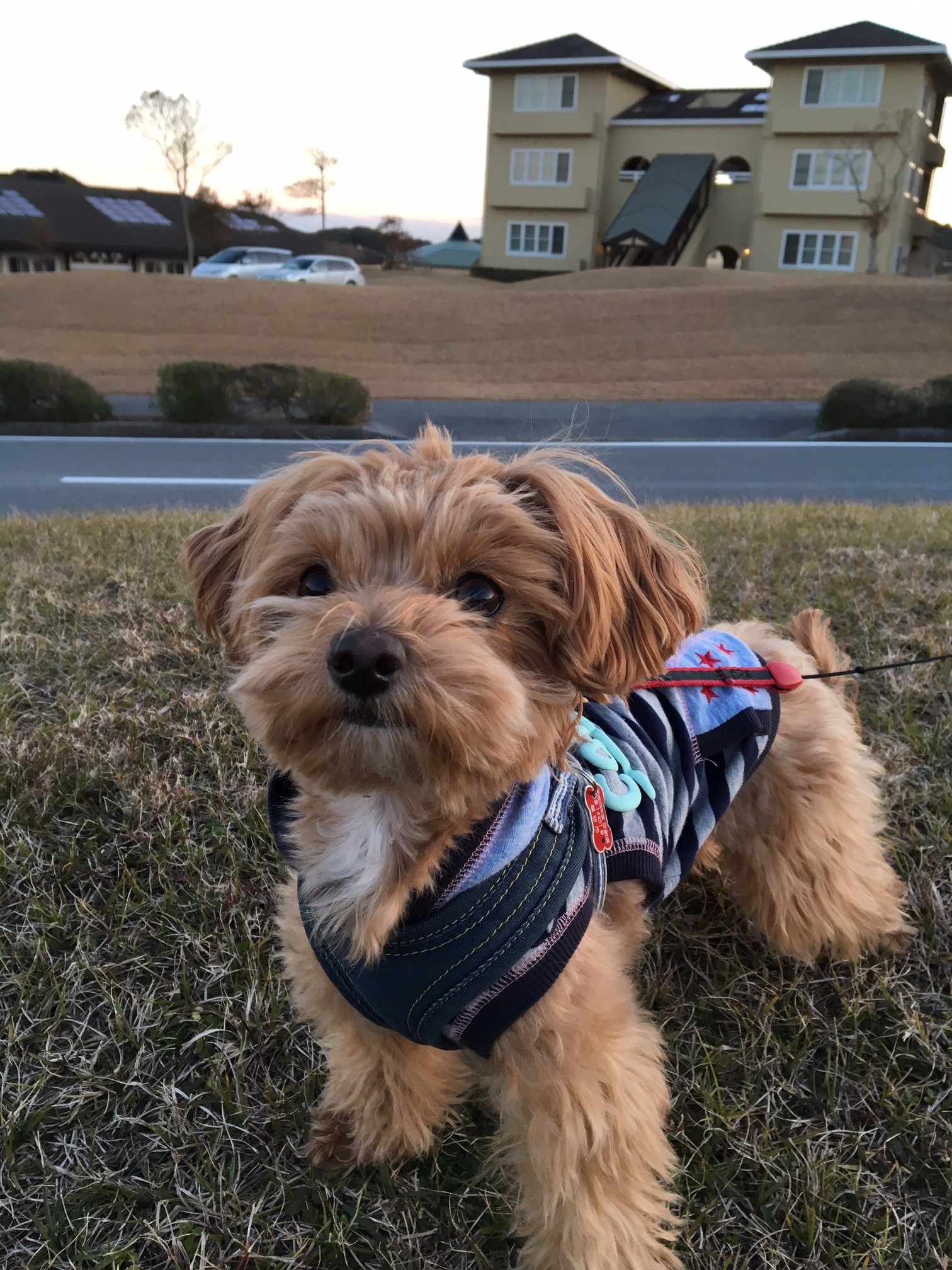 ティノくん ティノくん