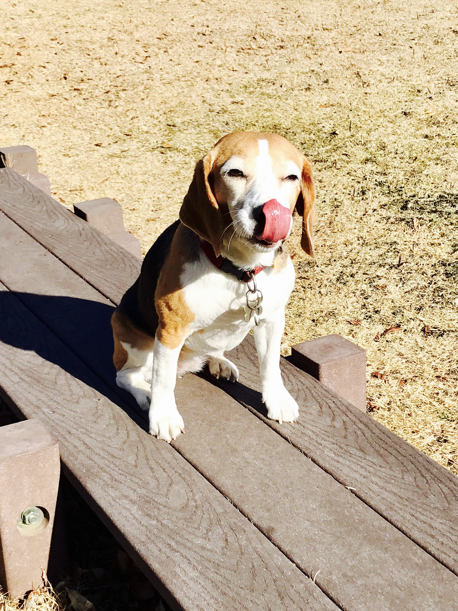 UMEちゃん UMEちゃん