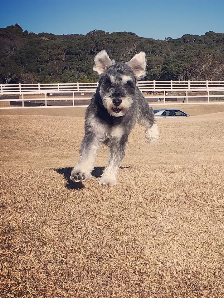 トーキーくん トーキーくん