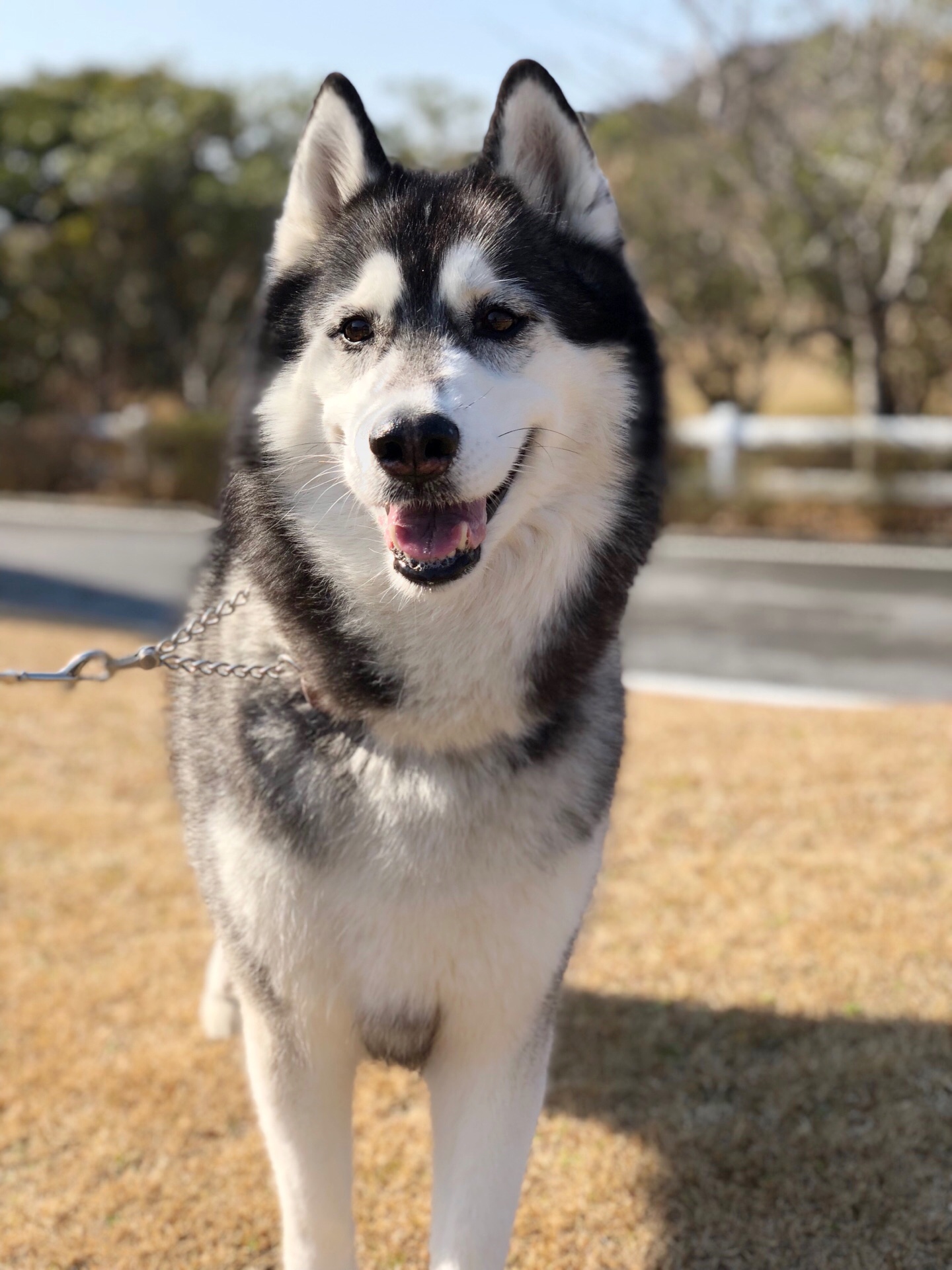 ベリィちゃん ベリィちゃん