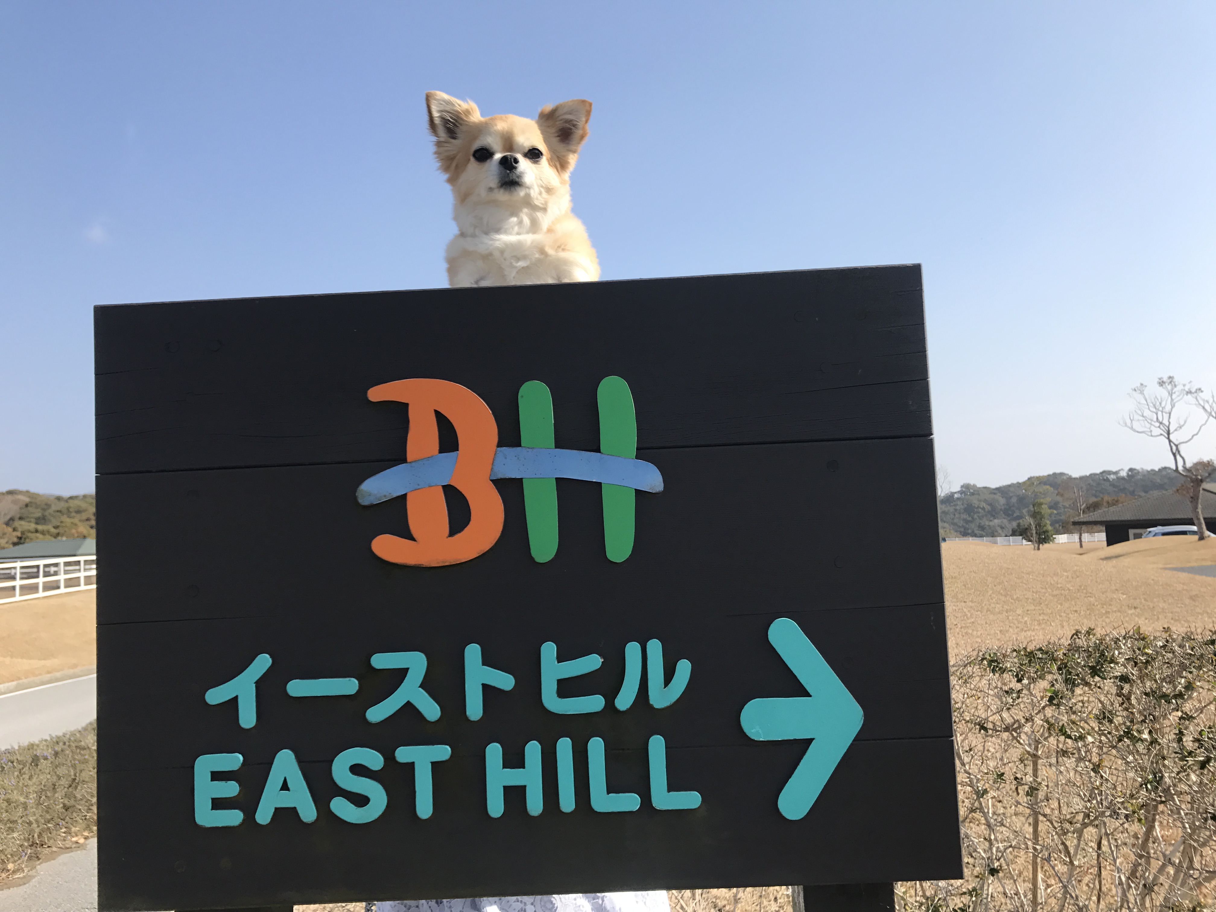 チャコちゃん チャコちゃん