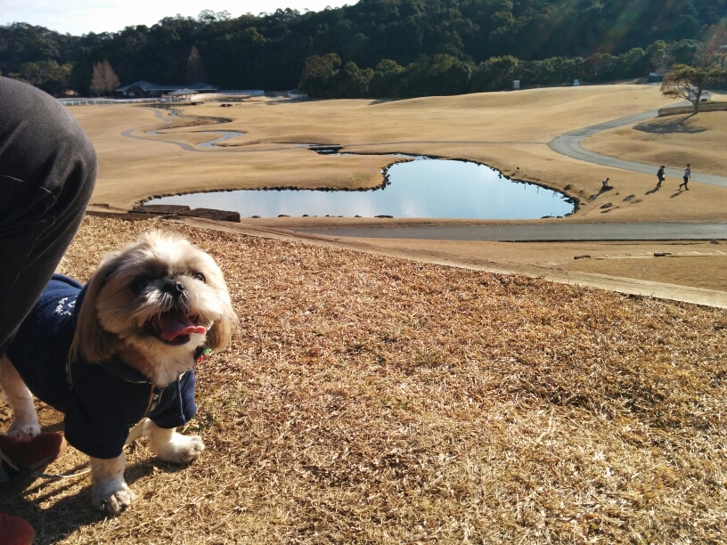 ティトくん ティトくん