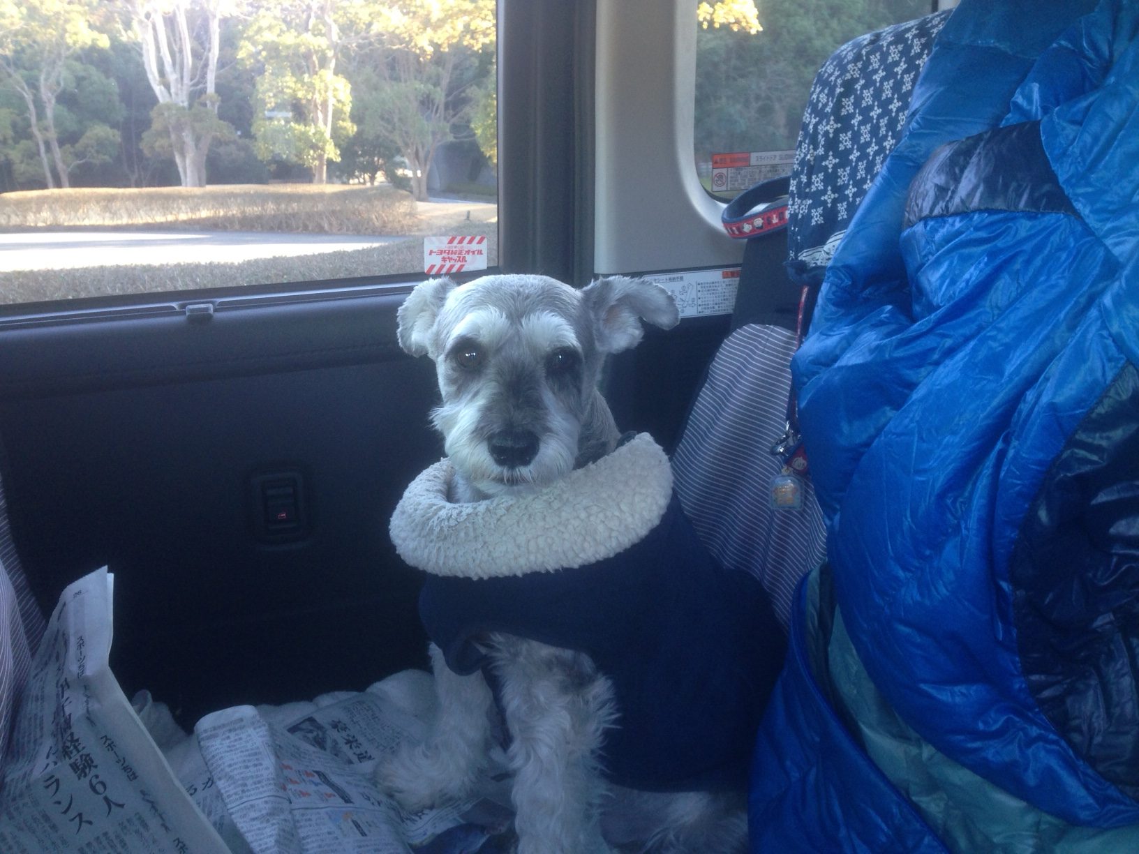 りくくん りくくん