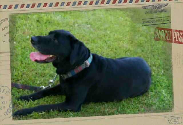 ライムちゃん　♀