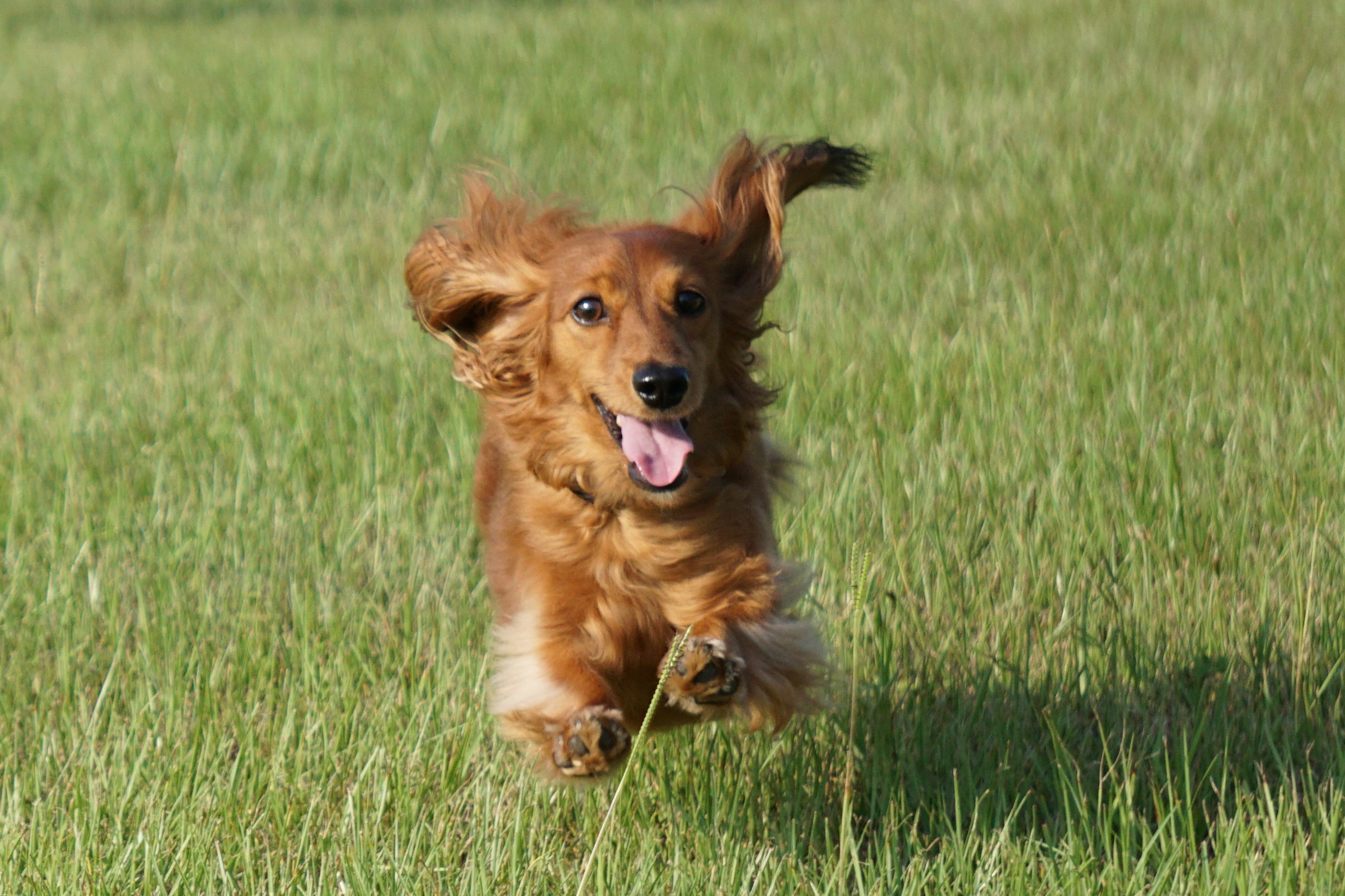 青木pohuくん　♂