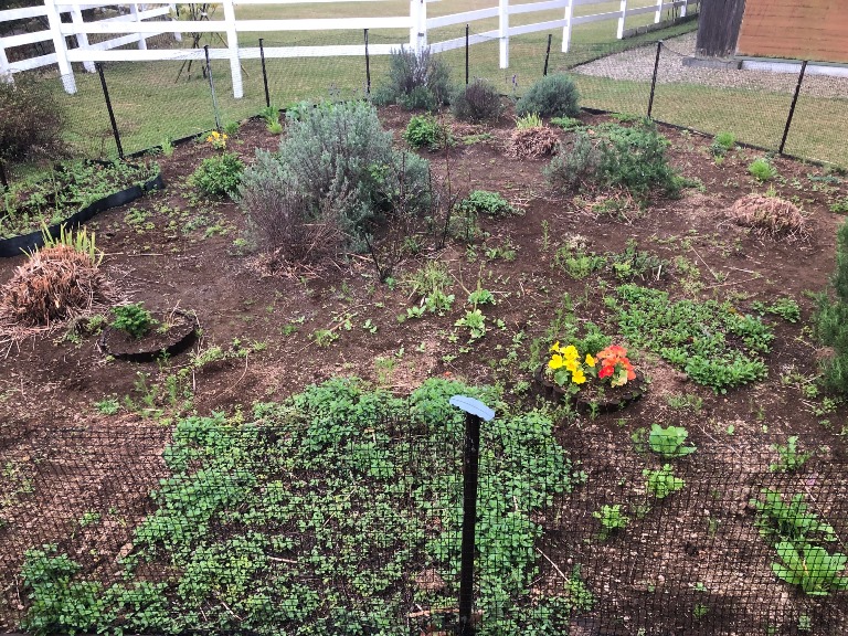 ～　キッチンガーデンより　～