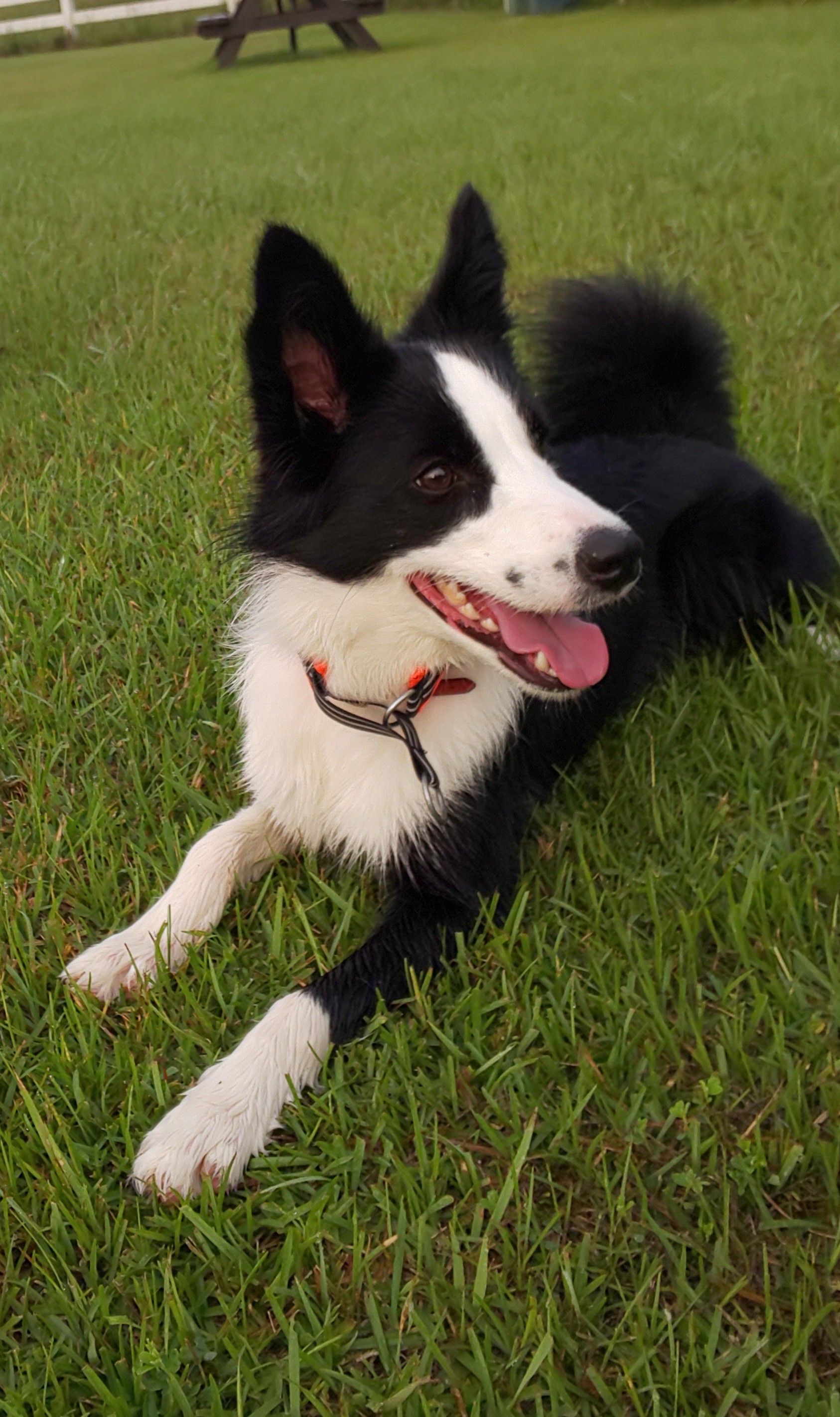 美亜ちゃん　♀