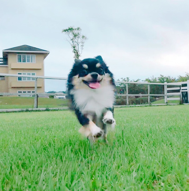 レオンくん ♂ レオンくん ♂