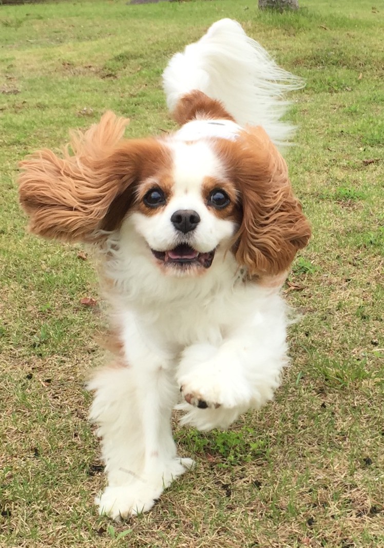 りりおくん ♂ りりおくん ♂