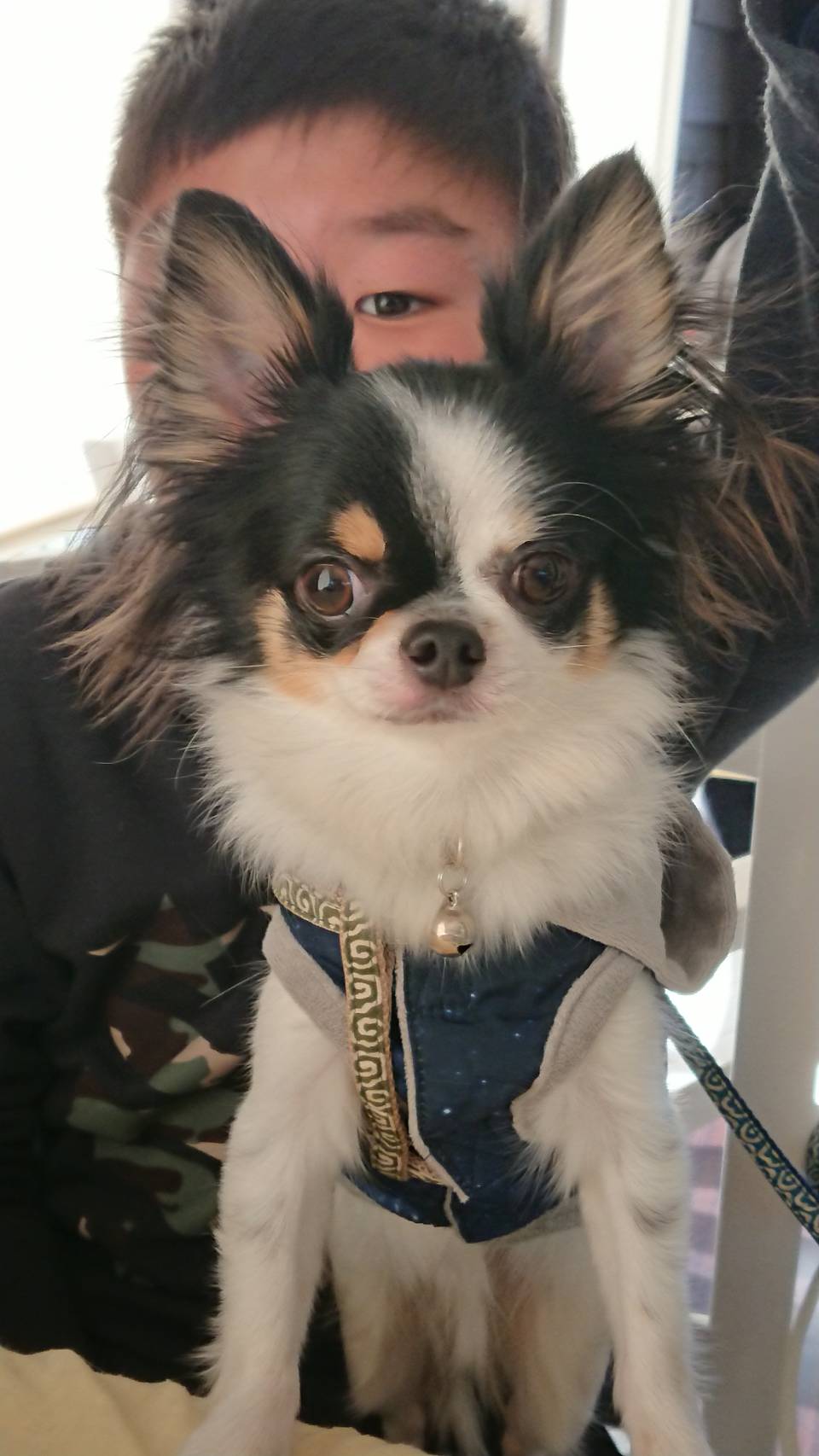 コタロウくん　♂