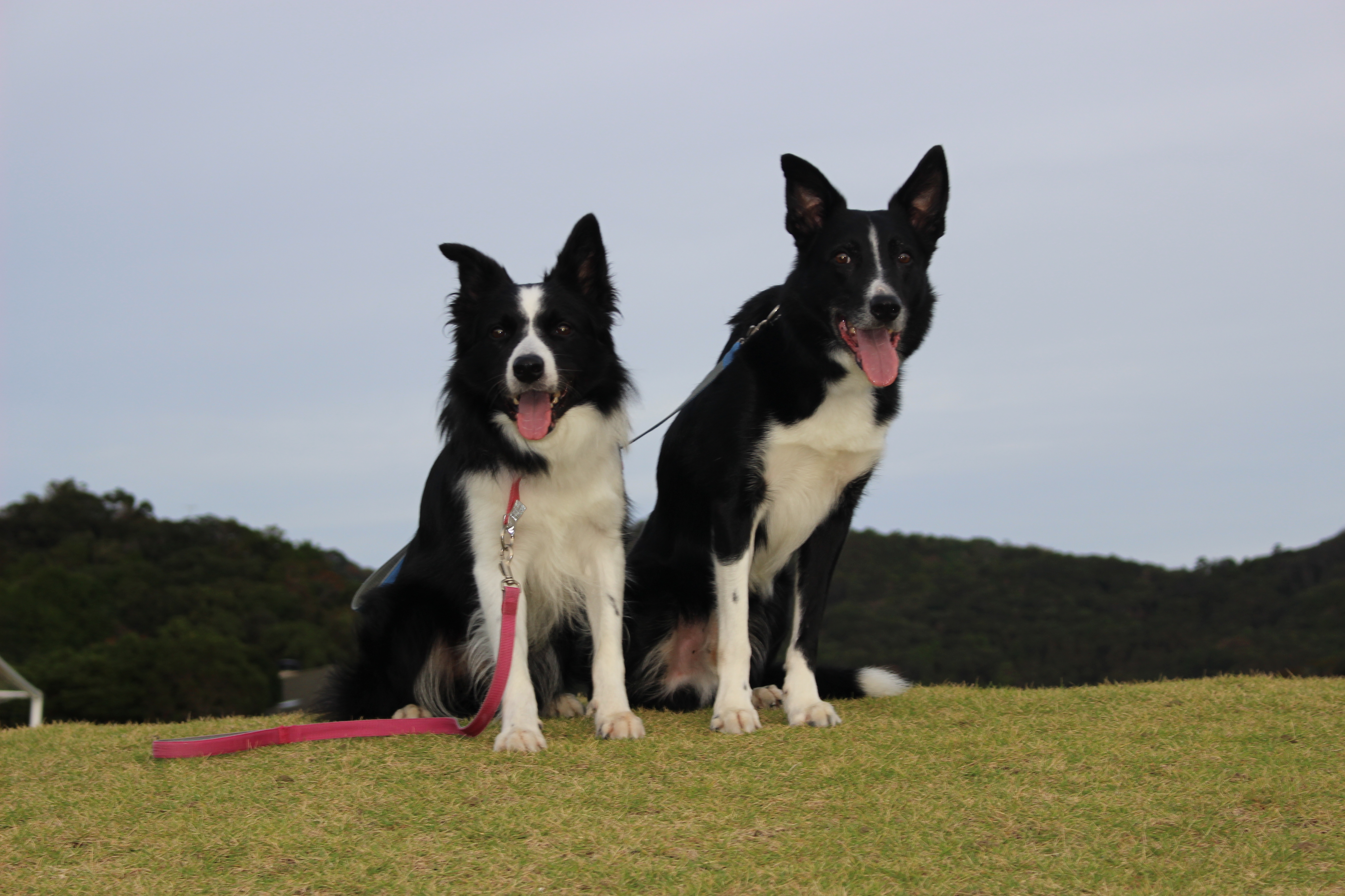 翔くん　♂　＆　礼くん　♂
