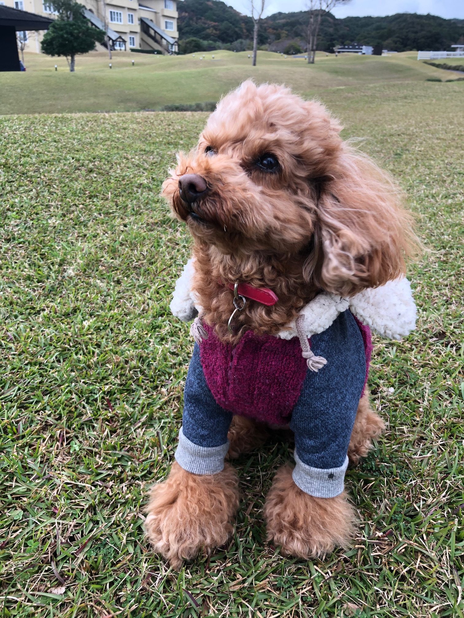 ケイトちゃん　♀