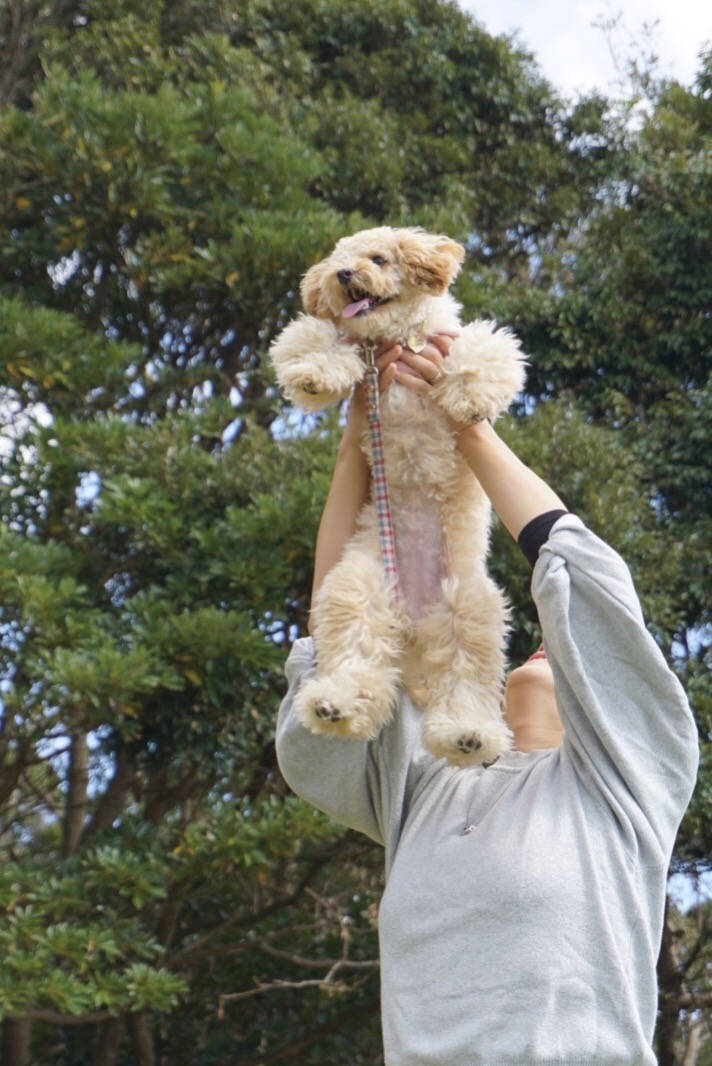 くるんちゃん　♀