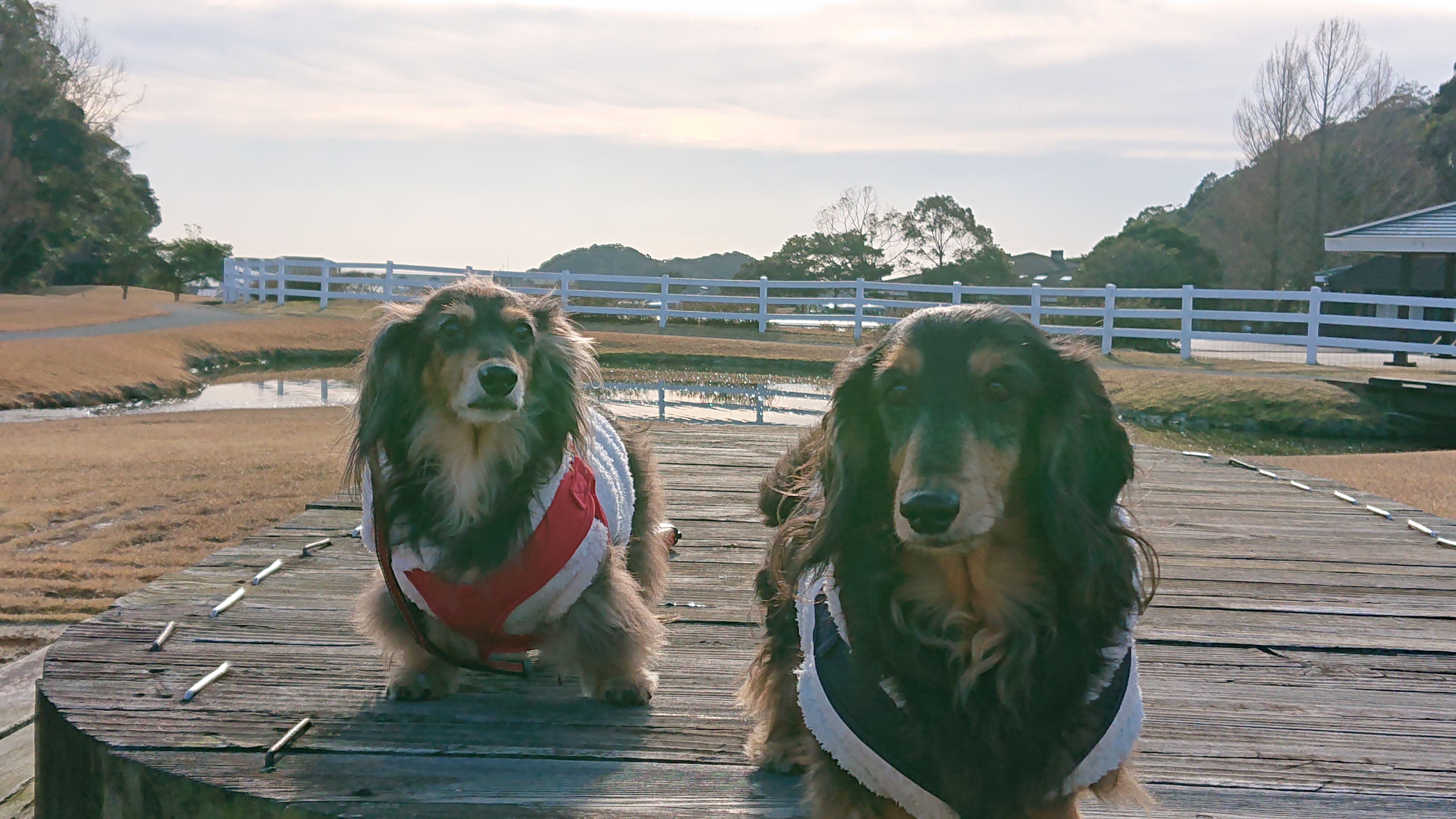 空くん　♂　＆　太陽くん　♂
