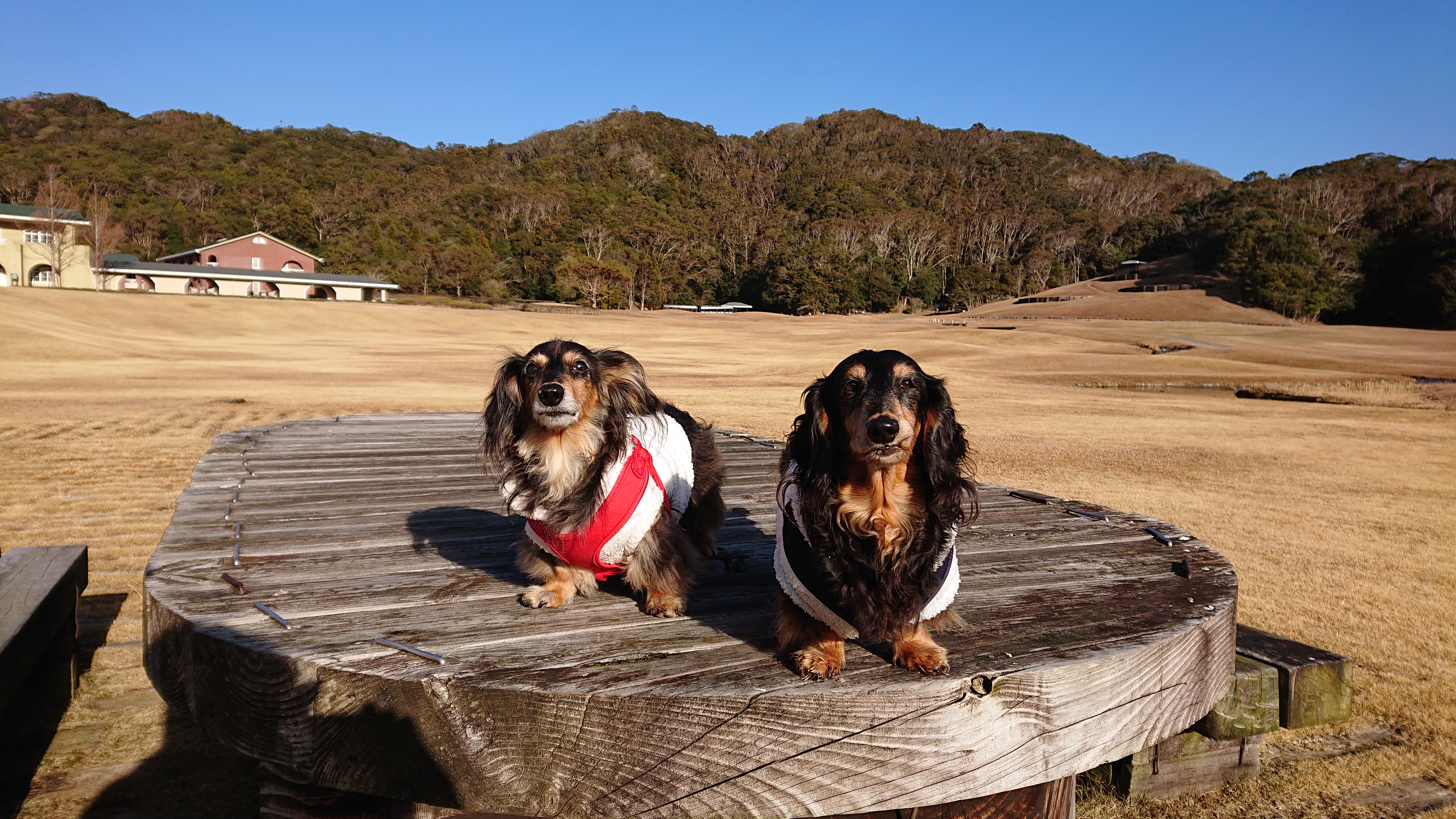 空くん　♂　＆　太陽くん　♂