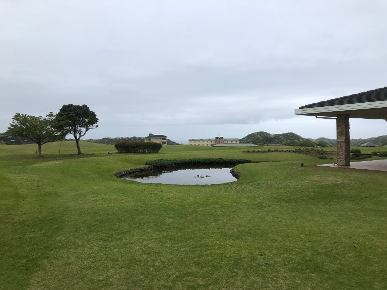 ~ 5月10日 センタープレイスより ~