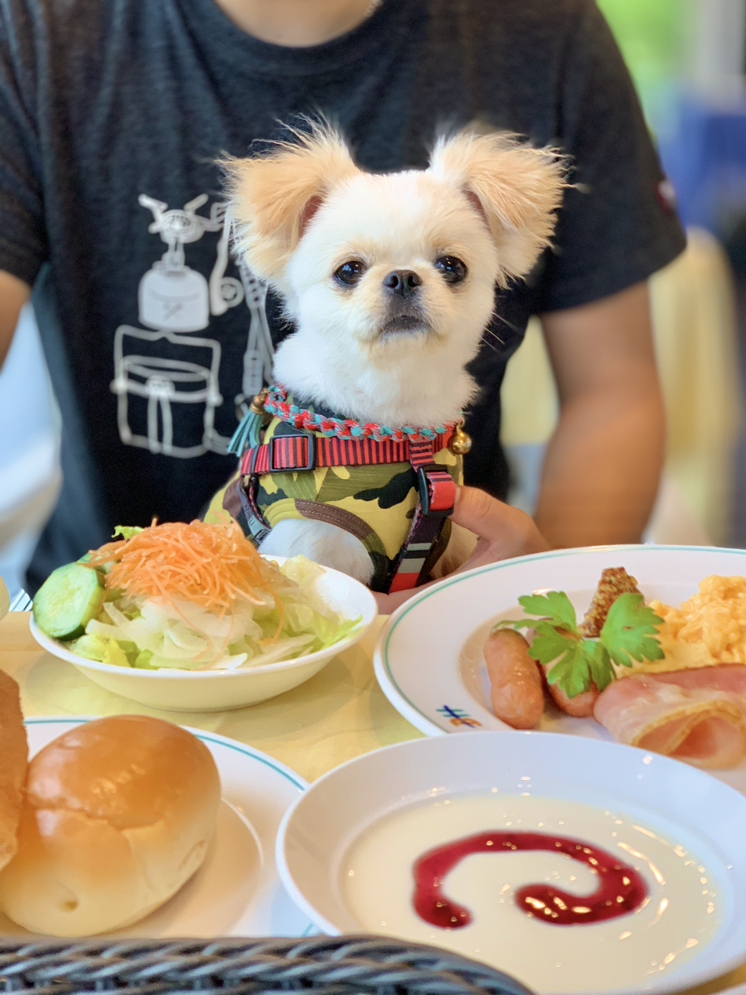 チャロちゃん ♀ チャロちゃん ♀